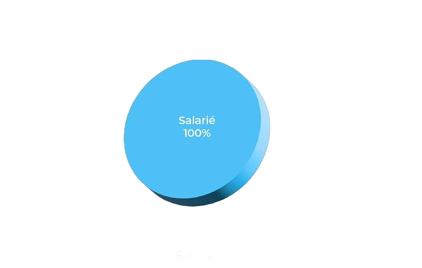 Graphique circulaire des personnes formées en 2022 : 100 % de salariés
